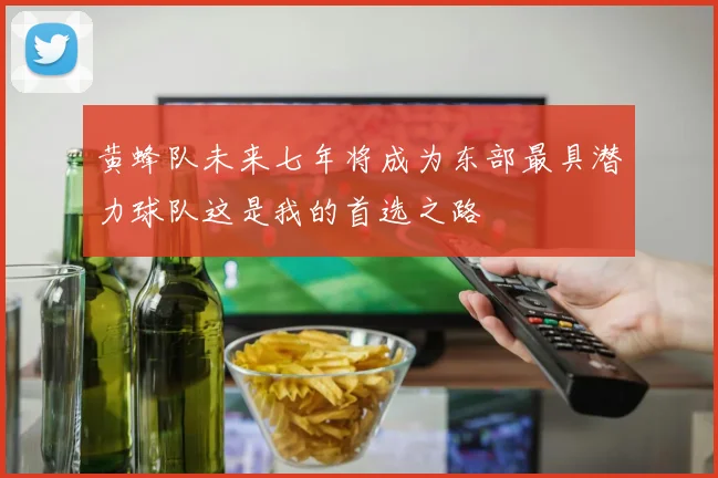 黄蜂队未来七年将成为东部最具潜力球队这是我的首选之路