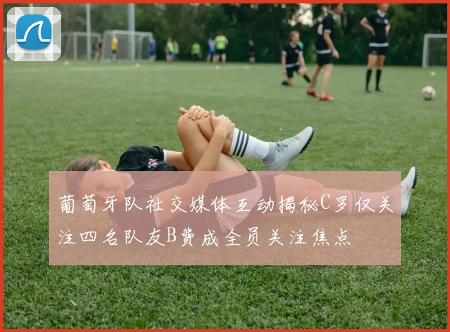 葡萄牙队社交媒体互动揭秘C罗仅关注四名队友B费成全员关注焦点